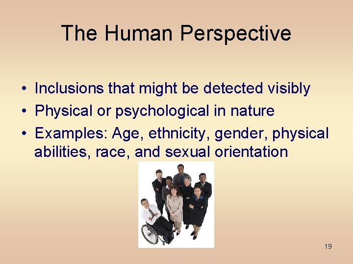 The Human Perspective • Inclusions that might be detected visibly • Physical or psychological