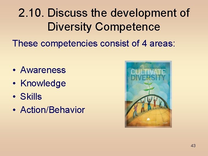 2. 10. Discuss the development of Diversity Competence These competencies consist of 4 areas: