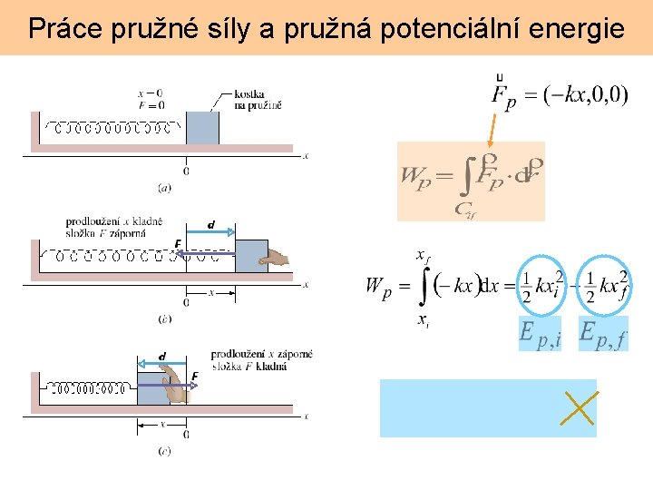 Práce pružné síly a pružná potenciální energie 