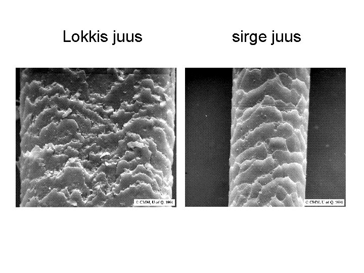 Lokkis juus sirge juus 