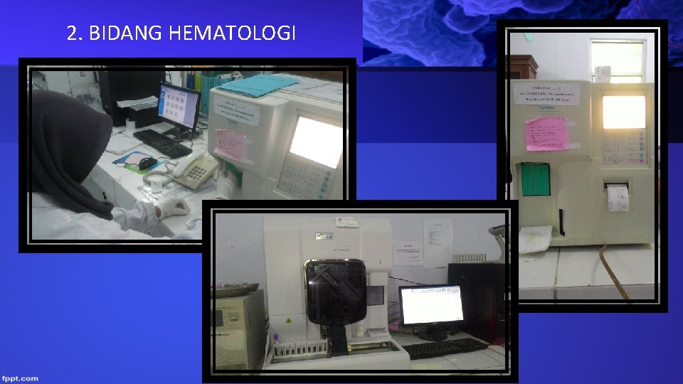2. BIDANG HEMATOLOGI 2. BIDANG HEMATOLOGI