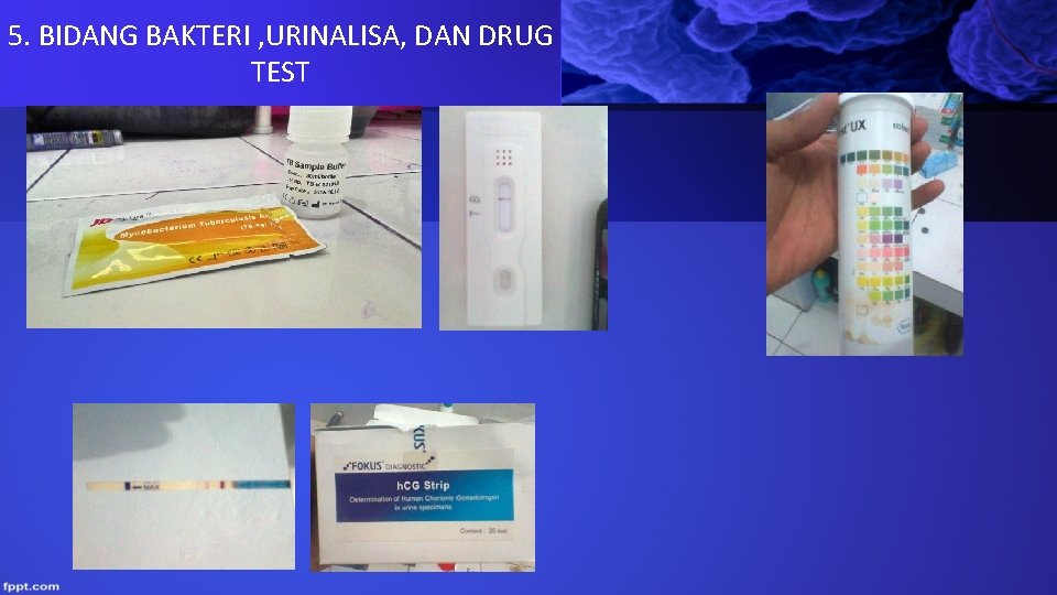 5. BIDANG BAKTERI , URINALISA, DAN DRUG TEST 5. BIDANG BAKTERI , URINALISA, DAN DRUG TEST