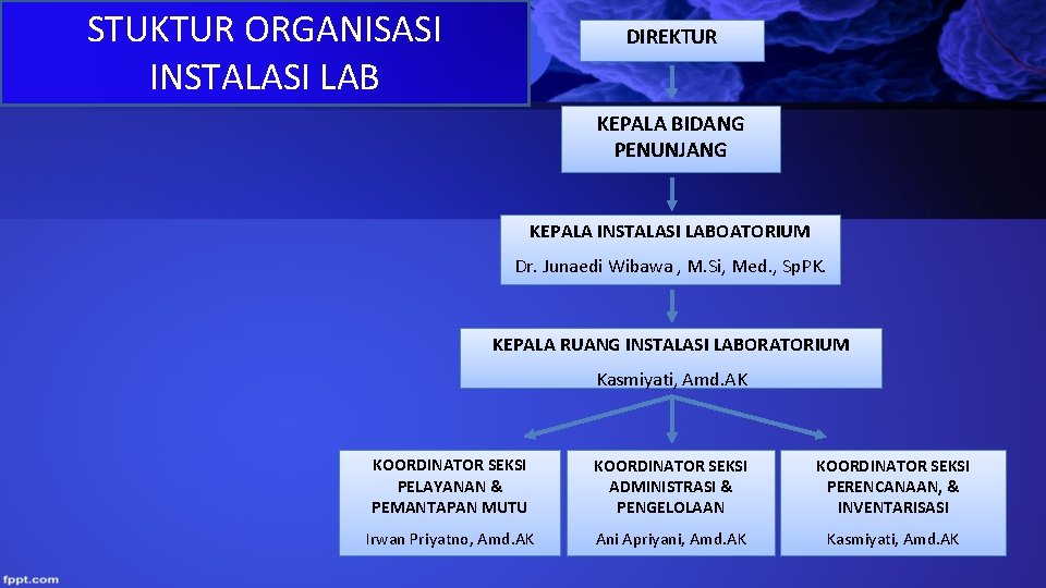 STUKTUR ORGANISASI INSTALASI LAB DIREKTUR KEPALA BIDANG PENUNJANG KEPALA INSTALASI LABOATORIUM Dr. Junaedi Wibawa STUKTUR ORGANISASI INSTALASI LAB DIREKTUR KEPALA BIDANG PENUNJANG KEPALA INSTALASI LABOATORIUM Dr. Junaedi Wibawa