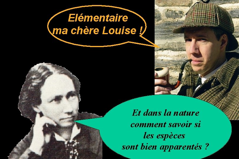 Elémentaire ma chère Louise ! Et dans la nature comment savoir si les espèces