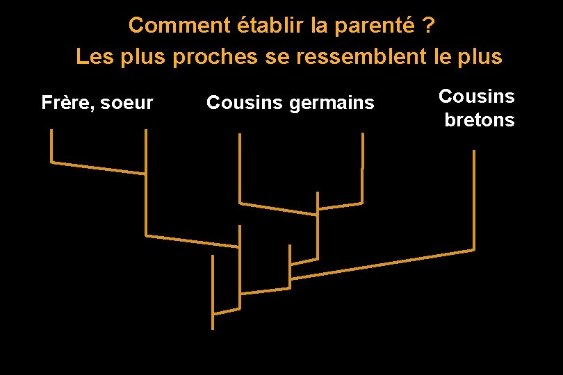 Comment établir la parenté ? Les plus proches se ressemblent le plus Frère, soeur