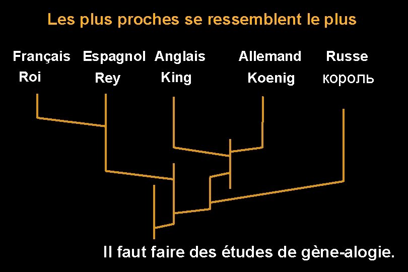 Les plus proches se ressemblent le plus Français Espagnol Anglais Roi King Rey Allemand