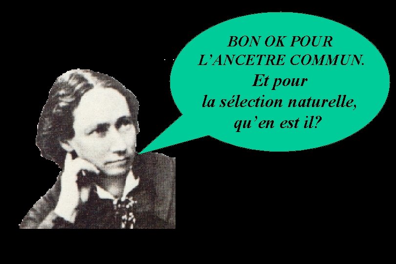 BON OK POUR L’ANCETRE COMMUN. Et pour la sélection naturelle, qu’en est il? 