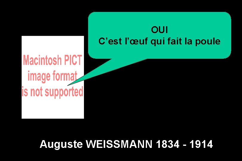 OUI C’est l’œuf qui fait la poule Auguste WEISSMANN 1834 - 1914 