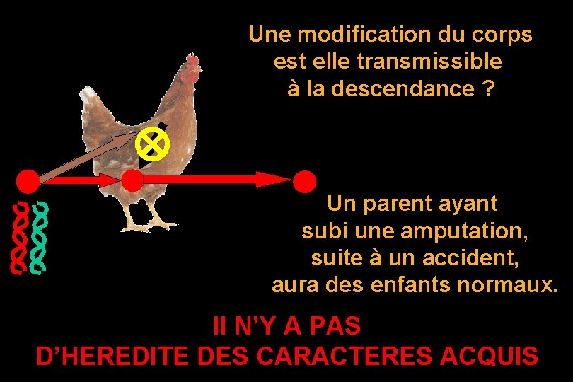 Une modification du corps est elle transmissible à la descendance ? Un parent ayant