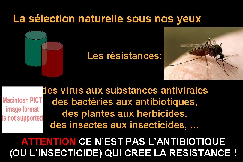 La sélection naturelle sous nos yeux Les résistances: des virus aux substances antivirales des