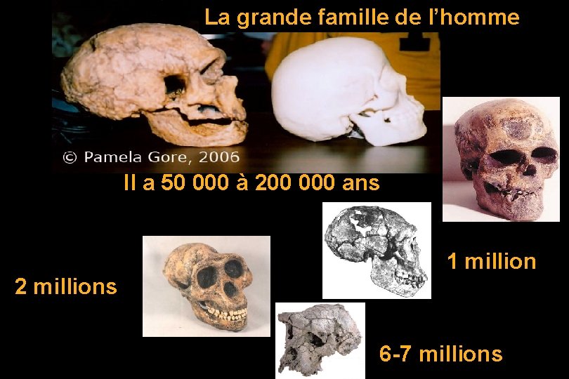 La grande famille de l’homme Il a 50 000 à 200 000 ans 1