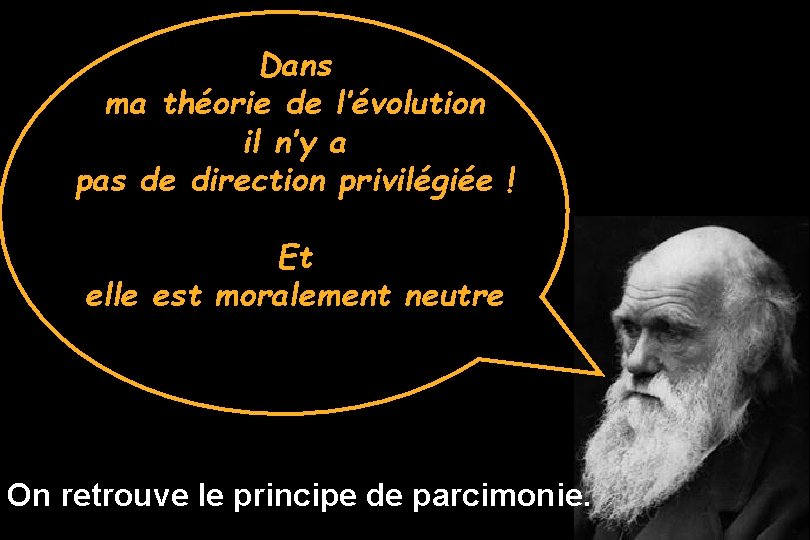 Dans ma théorie de l’évolution il n’y a pas de direction privilégiée ! Et