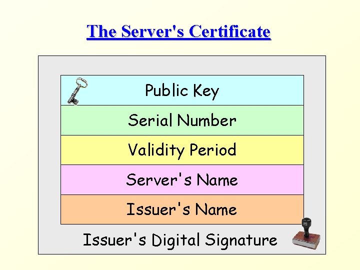 The Server's Certificate Public Key Serial Number Validity Period Server's Name Issuer's Digital Signature