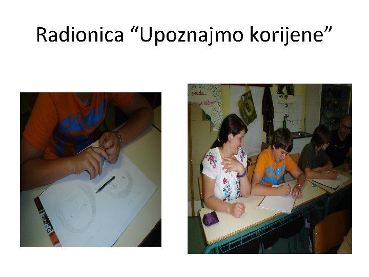 Radionica “Upoznajmo korijene” 