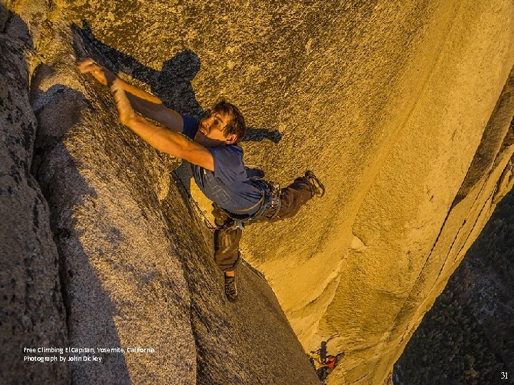 Free Climbing El Capitan, Yosemite, California Photograph by John Dickey 31 