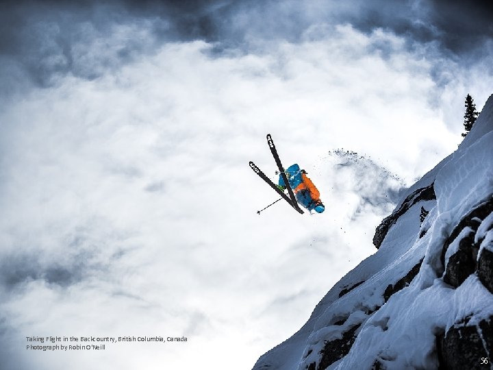 Taking Flight in the Backcountry, British Columbia, Canada Photograph by Robin O'Neill 56 