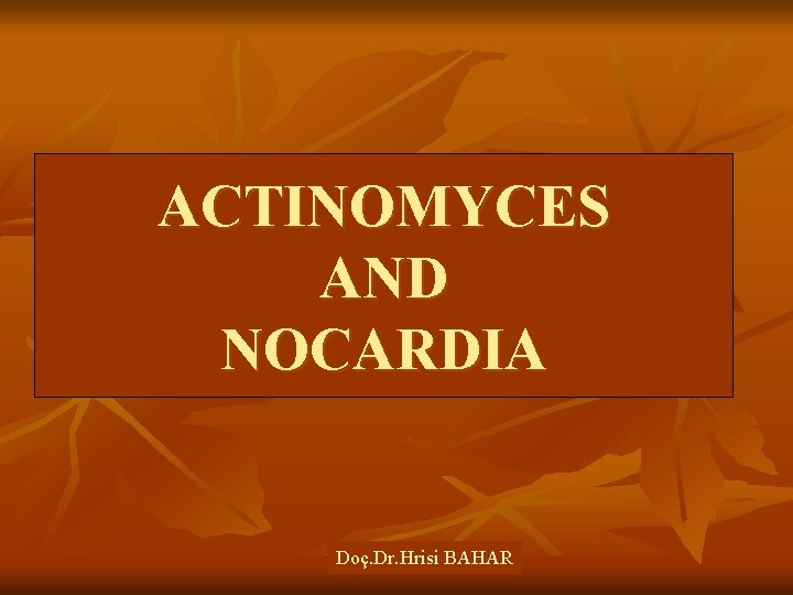 ACTINOMYCES AND NOCARDIA Doç. Dr. Hrisi BAHAR 