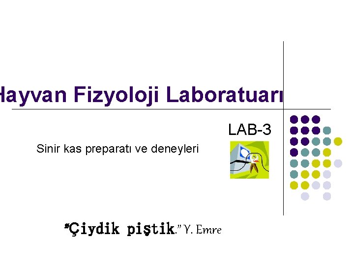 Hayvan Fizyoloji Laboratuarı LAB-3 Sinir kas preparatı ve deneyleri ”Çiydik piştik. ” Y. Emre