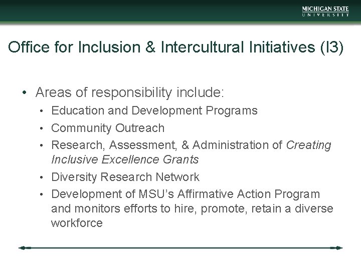 Office for Inclusion & Intercultural Initiatives (I 3) • Areas of responsibility include: •