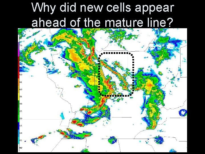 Why did new cells appear ahead of the mature line? 