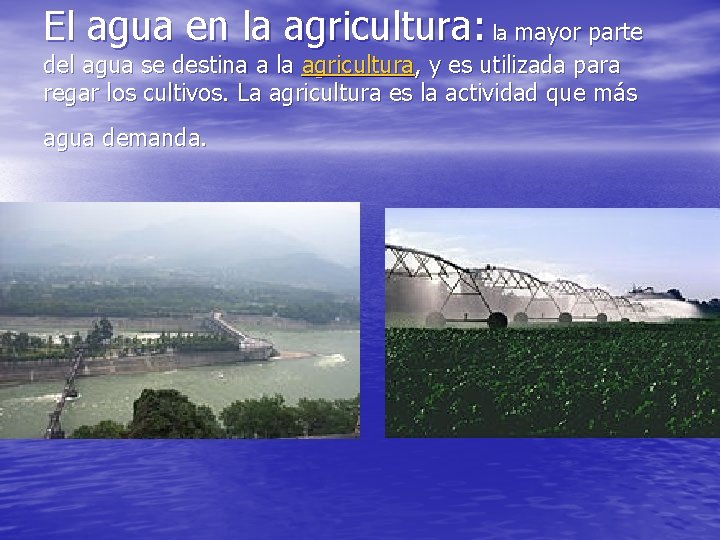 El agua en la agricultura: la mayor parte del agua se destina a la