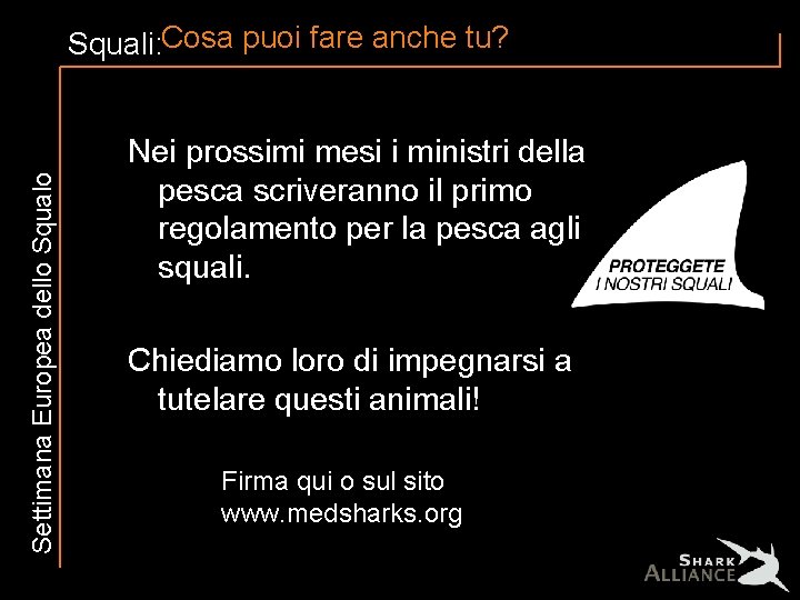 Settimana Europea dello Squali: Cosa puoi fare anche tu? Nei prossimi mesi i ministri