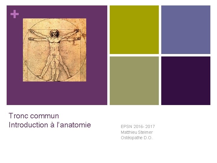 + Tronc commun Introduction à l’anatomie EPSN 2016 - 2017 Matthieu Steimer Ostéopathe D.