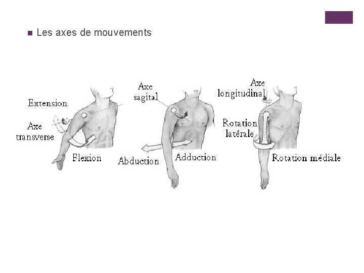 n Les axes de mouvements 