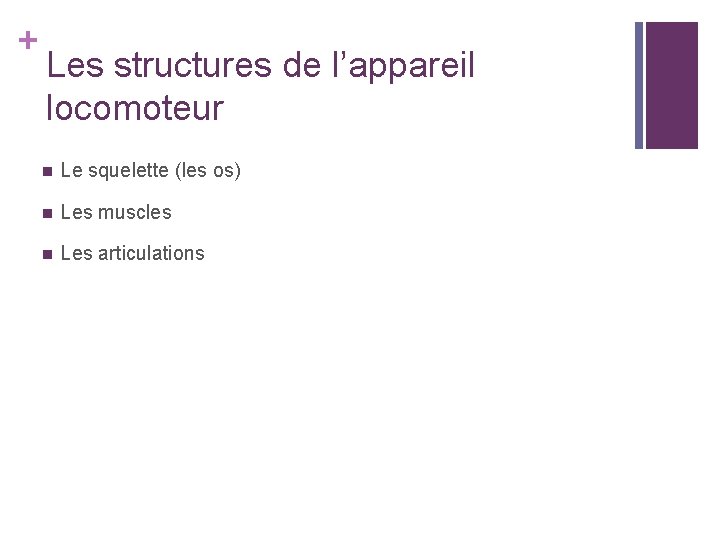 + Les structures de l’appareil locomoteur n Le squelette (les os) n Les muscles