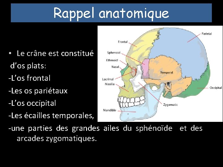 Rappel anatomique • Le crâne est constitué d’os plats: -L’os frontal -Les os pariétaux