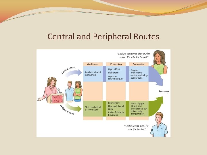 Central and Peripheral Routes 