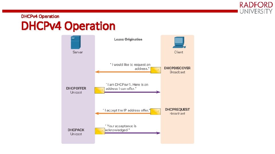 DHCPv 4 Operation 