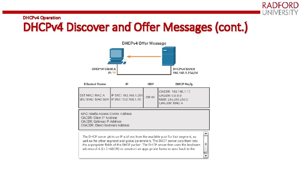 DHCPv 4 Operation DHCPv 4 Discover and Offer Messages (cont. ) 