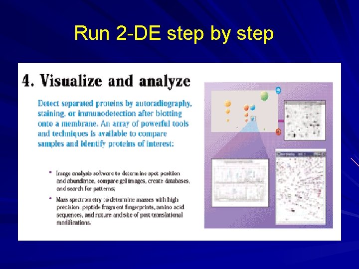 Run 2 -DE step by step Run 2 -DE step by step