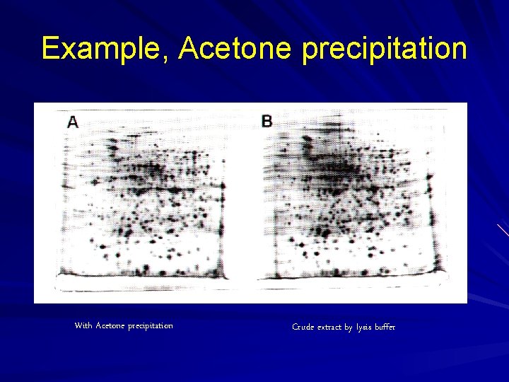 Example, Acetone precipitation With Acetone precipitation Crude extract by lysis buffer Example, Acetone precipitation With Acetone precipitation Crude extract by lysis buffer