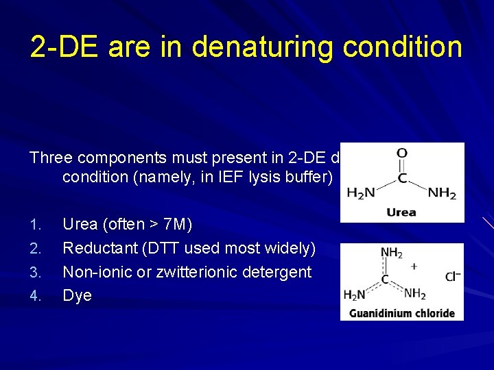 2 -DE are in denaturing condition Three components must present in 2 -DE denaturing 2 -DE are in denaturing condition Three components must present in 2 -DE denaturing