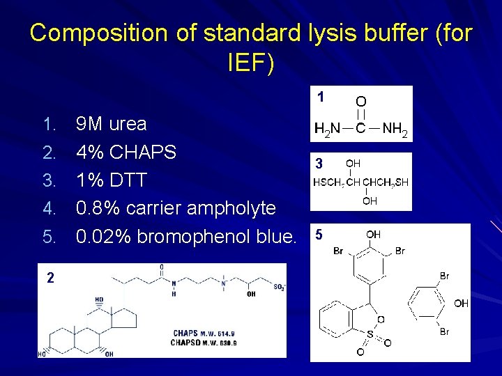Composition of standard lysis buffer (for IEF) 1 1. 9 M urea 2. 4% Composition of standard lysis buffer (for IEF) 1 1. 9 M urea 2. 4%