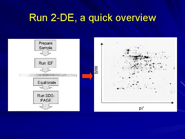 Run 2 -DE, a quick overview Run 2 -DE, a quick overview