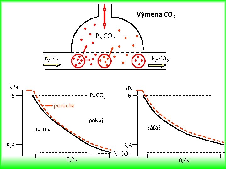 Výmena CO 2 PA CO 2 PC´ CO 2 PV CO 2 k. Pa