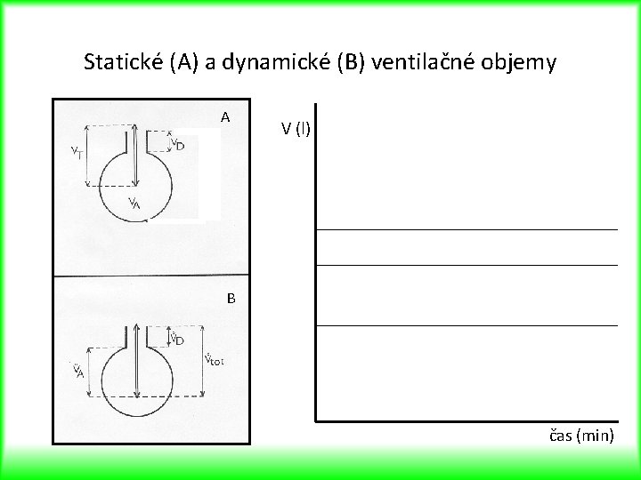 Statické (A) a dynamické (B) ventilačné objemy A V (l) B čas (min) 