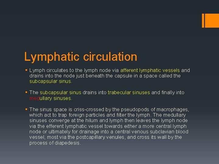 Lymphatic circulation § Lymph circulates to the lymph node via afferent lymphatic vessels and