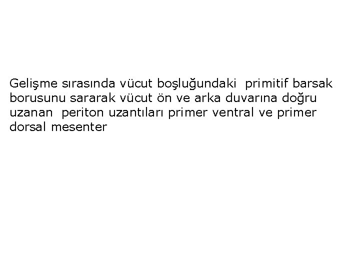 Gelişme sırasında vücut boşluğundaki primitif barsak borusunu sararak vücut ön ve arka duvarına doğru