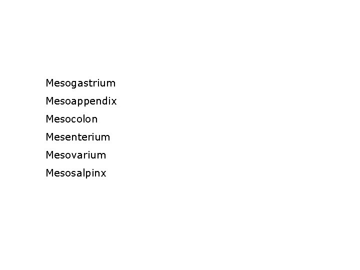 Mesogastrium Mesoappendix Mesocolon Mesenterium Mesovarium Mesosalpinx 