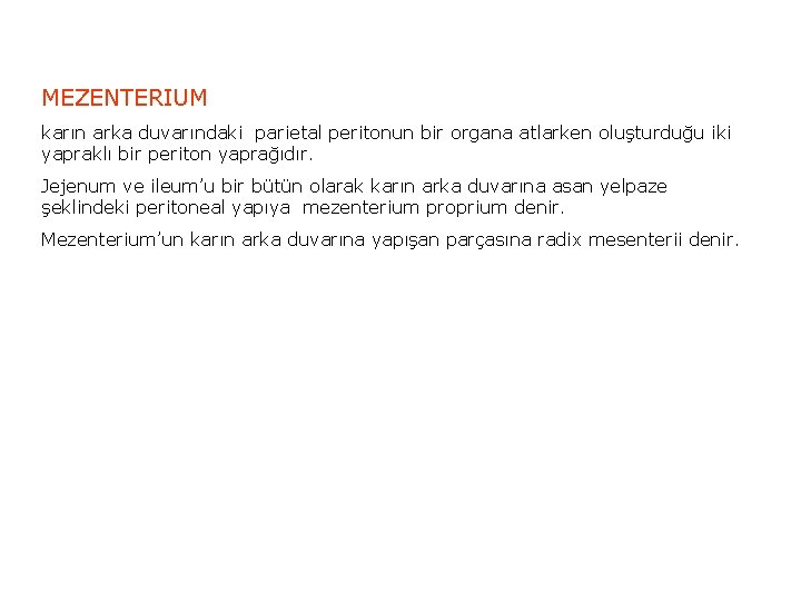 MEZENTERIUM karın arka duvarındaki parietal peritonun bir organa atlarken oluşturduğu iki yapraklı bir periton