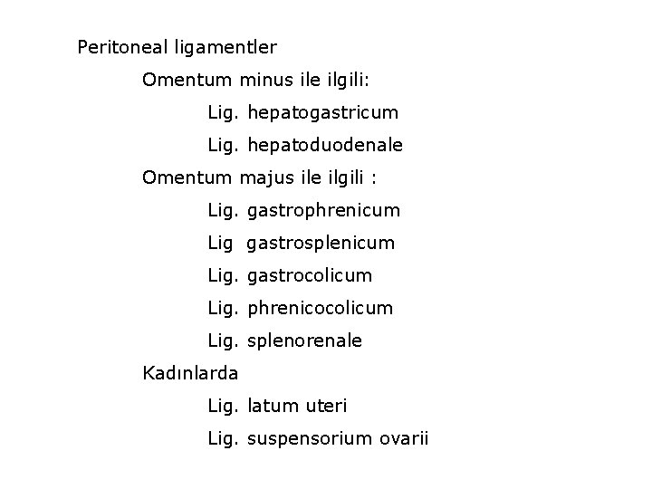 Peritoneal ligamentler Omentum minus ile ilgili: Lig. hepatogastricum Lig. hepatoduodenale Omentum majus ile ilgili