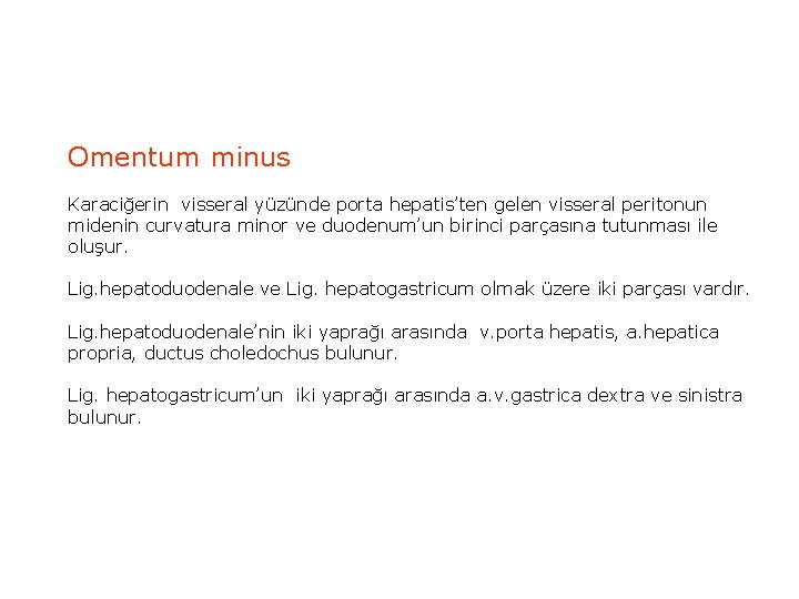 Omentum minus Karaciğerin visseral yüzünde porta hepatis’ten gelen visseral peritonun midenin curvatura minor ve Omentum minus Karaciğerin visseral yüzünde porta hepatis’ten gelen visseral peritonun midenin curvatura minor ve