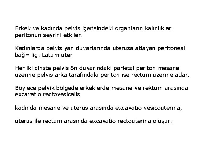 Erkek ve kadında pelvis içerisindeki organların kalınlıkları peritonun seyrini etkiler. Kadınlarda pelvis yan duvarlarında