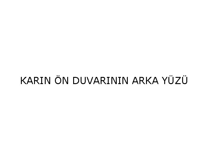 KARIN ÖN DUVARININ ARKA YÜZÜ 