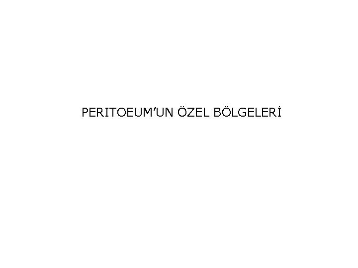 PERITOEUM’UN ÖZEL BÖLGELERİ 