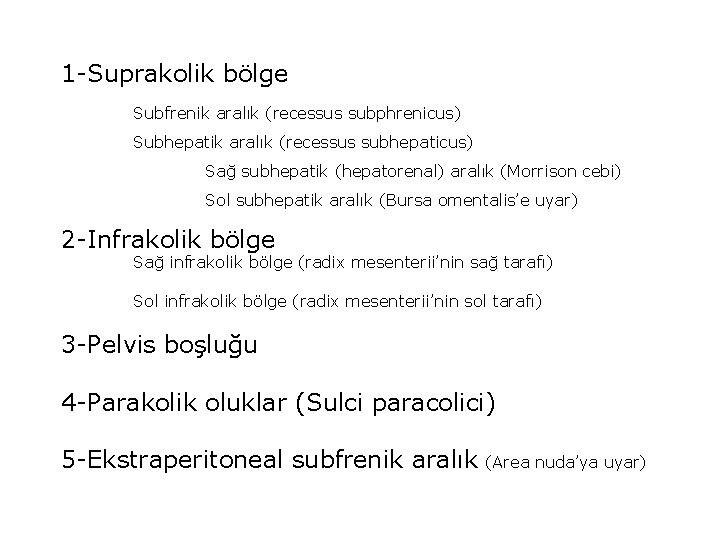 1 -Suprakolik bölge Subfrenik aralık (recessus subphrenicus) Subhepatik aralık (recessus subhepaticus) Sağ subhepatik (hepatorenal)